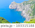 真っ青の海 103315188