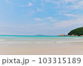 砂浜海岸 103315189