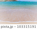 砂浜に押し寄せる波 103315191