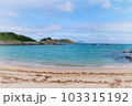 夏休み前の海岸 103315192