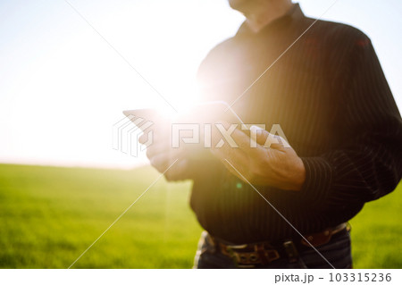 Owner farm using touch pad for check wheat quality in the field. Agronomist standing in wheat field. 103315236