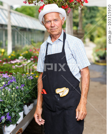 Elderly man in greenhouse 103315950