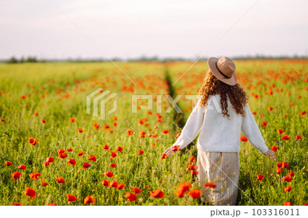 Back view. Young curly woman in hat posing in the poppy field. Summer landscape. Back view. Young curly woman in hat posing in the poppy field. Summer landscape. 103316011