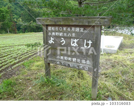 ようばけ　　（埼玉県小鹿野町） 103316083