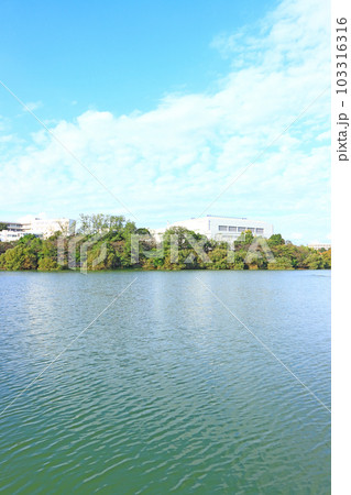 大府市、至学館大学の風景 大府市、至学館大学の風景 103316316