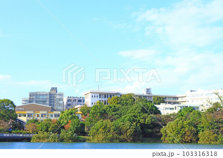 大府市、至学館大学の風景 大府市、至学館大学の風景 103316318