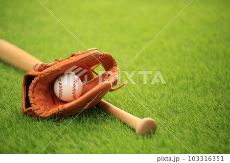 野球グローブとバット 103316351