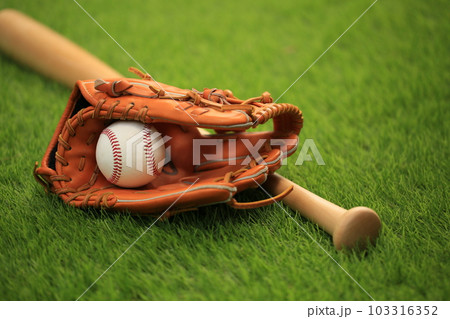 野球グローブとバット 103316352