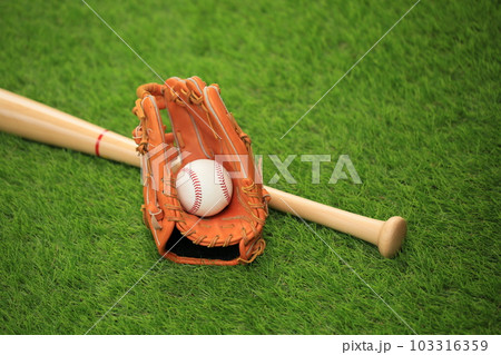 野球グローブとバット 103316359