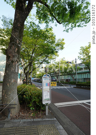 「ハチ公バス」こと渋谷区コミュニティーバスの表参道ヒルズ停留所 103316372