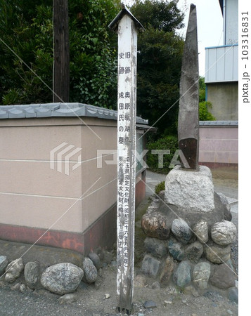 龍淵寺　　　（埼玉県熊谷市） 103316831