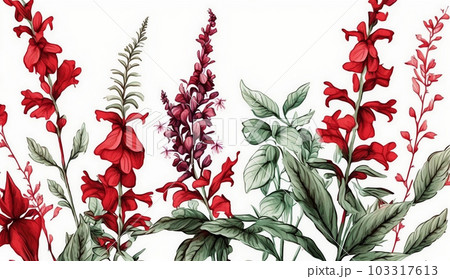 サルビアの花の水彩画