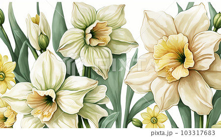 スイセンの花の水彩画