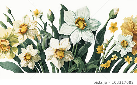 スイセンの花の水彩画