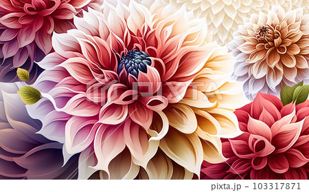 ダリアの花の水彩画