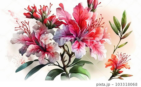 ツツジの花の水彩画