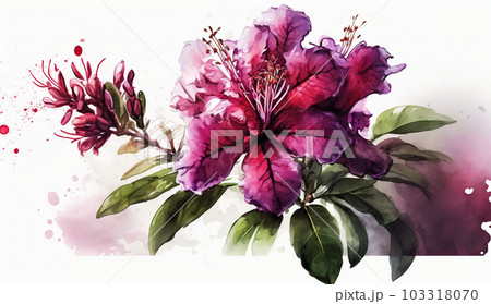 ツツジの花の水彩画