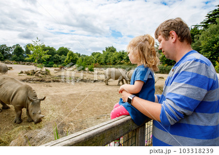 Cute adorable toddler girl and father watching wild rhinos in zoo. Happy baby child, daughter and dad, family having fun together with animals safari park on warm summer day. Ireland 103318239