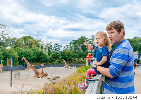 Cute adorable toddler girl and father watching and feeding giraffe in zoo. Happy baby child, daughter and dad, family having fun together with animals safari park on warm summer day. Ireland 103318244