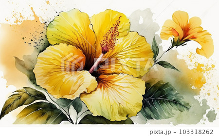 ハイビスカスの花の水彩画