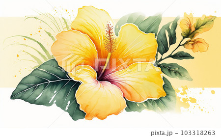 ハイビスカスの花の水彩画