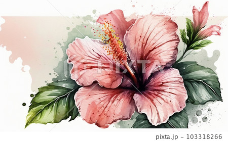 ハイビスカスの花の水彩画