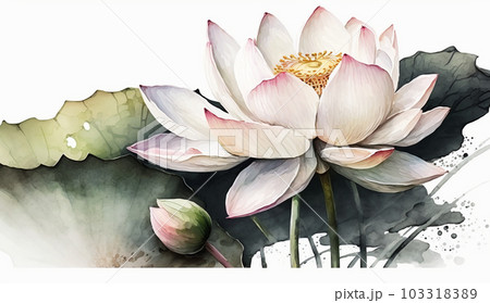 ハスの花の水彩画