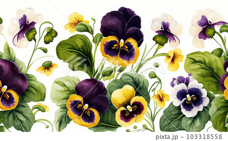 パンジーの花の水彩画