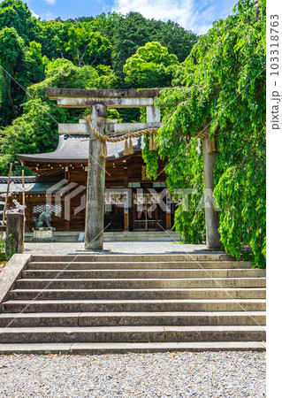京都市山科区の大石神社 拝殿と鳥居 京都市山科区の大石神社 拝殿と鳥居 103318763