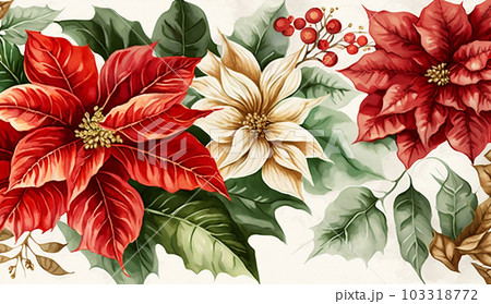 ポインセチアの花の水彩画