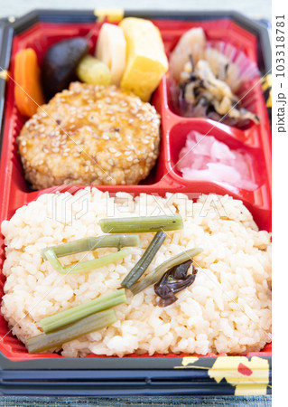 美味しい山菜ご飯と豆腐ハンバーグ弁当 美味しい山菜ご飯と豆腐ハンバーグ弁当 103318781