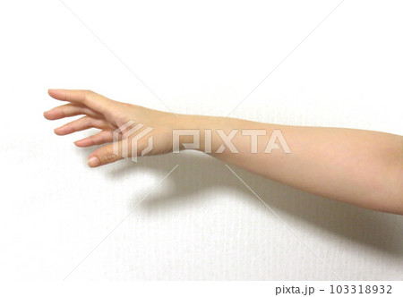 手を伸ばす 手を伸ばす 103318932