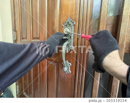 ビッキングドロボウ ビッキングドロボウ 103319154