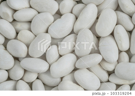 food background with pile of dried raw haricot beans food background with pile of dried raw haricot beans 103319204