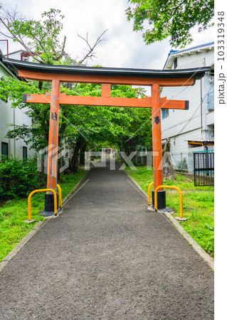 京都市山科区の花山稲荷神社 赤鳥居 京都市山科区の花山稲荷神社 赤鳥居 103319348