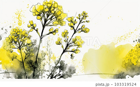 菜の花の水彩画