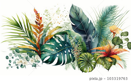 色々な熱帯植物の水彩画