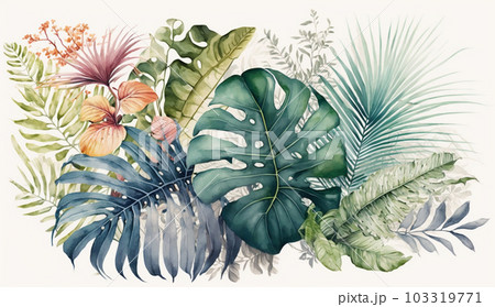 色々な熱帯植物の水彩画
