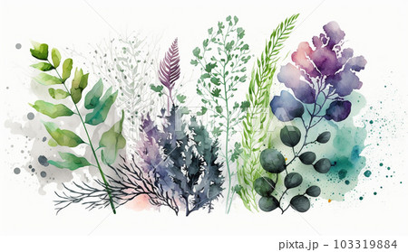 背景や挿絵用の植物の水彩画