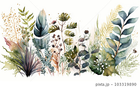 背景や挿絵用の植物の水彩画