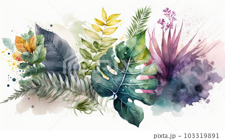 背景や挿絵用の植物の水彩画