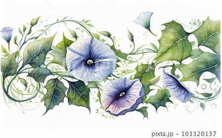 アサガオの花の水彩画