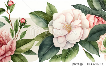 ツバキの花の水彩画