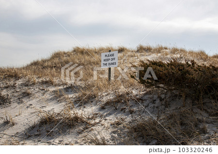 Keep off the dunes sign on a sand dune with grass and bushes Keep off the dunes sign on a sand dune with grass and bushes 103320246