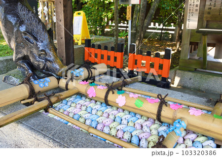 京都 護王神社　霊猪手水舎と幸運の霊猪 103320386