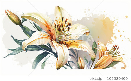 ユリの花の水彩画