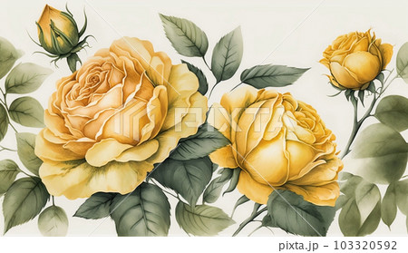 バラの花の水彩画