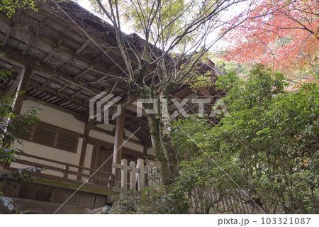 もみじと清龍宮拝殿　醍醐寺 103321087