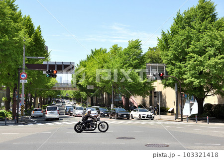 横浜山下橋交差点を右折するオートバイ 横浜山下橋交差点を右折するオートバイ 103321418