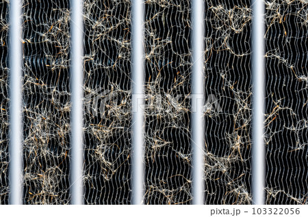 Macro of seed pods and dust collecting on the heat exchanger coils of an air conditioner outside.  103322056